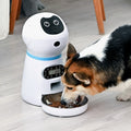 Automatic Pet Feeder with Stainless Steel Bowl