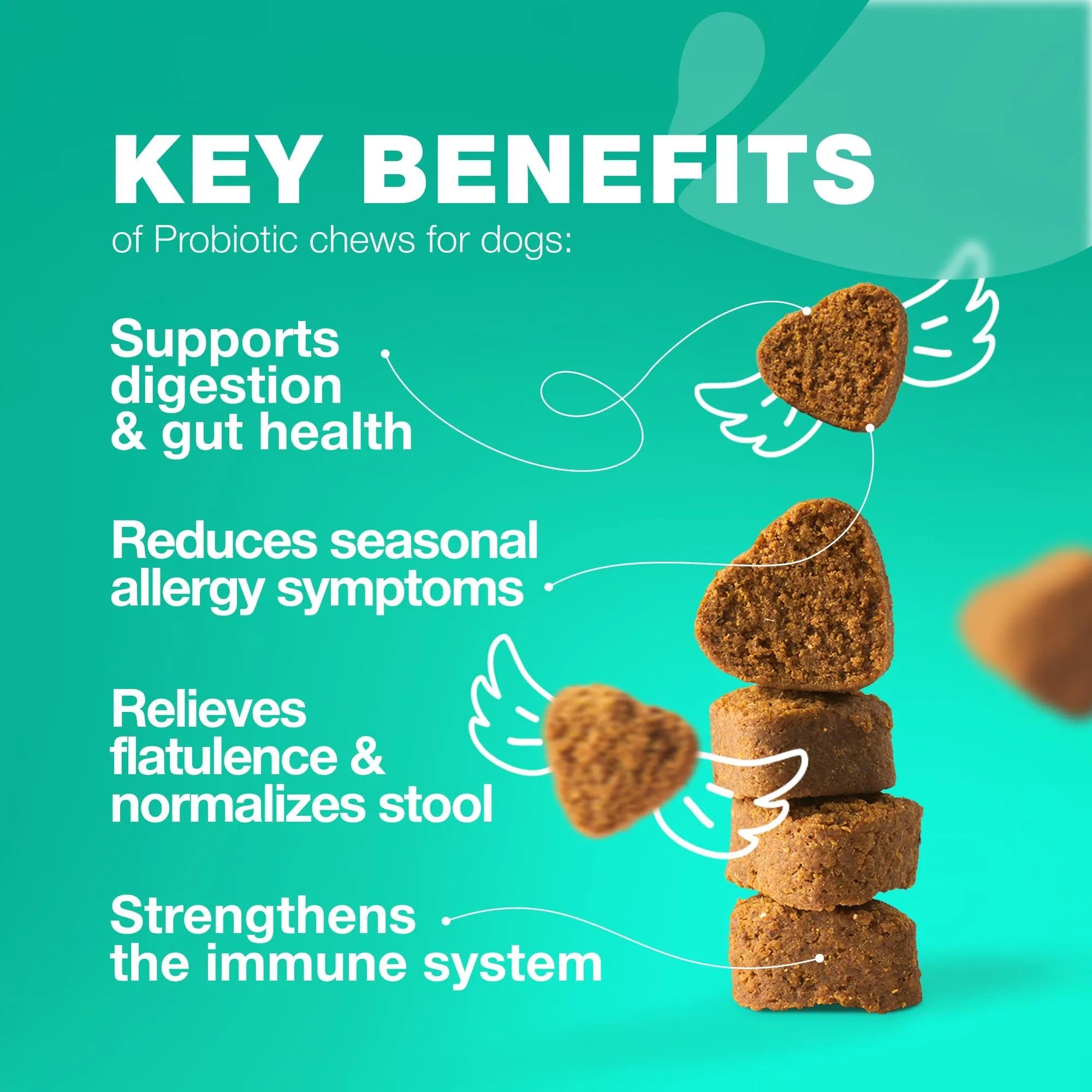 Probiotics for Dogs – Gut Health, Immunity & Digestive Support