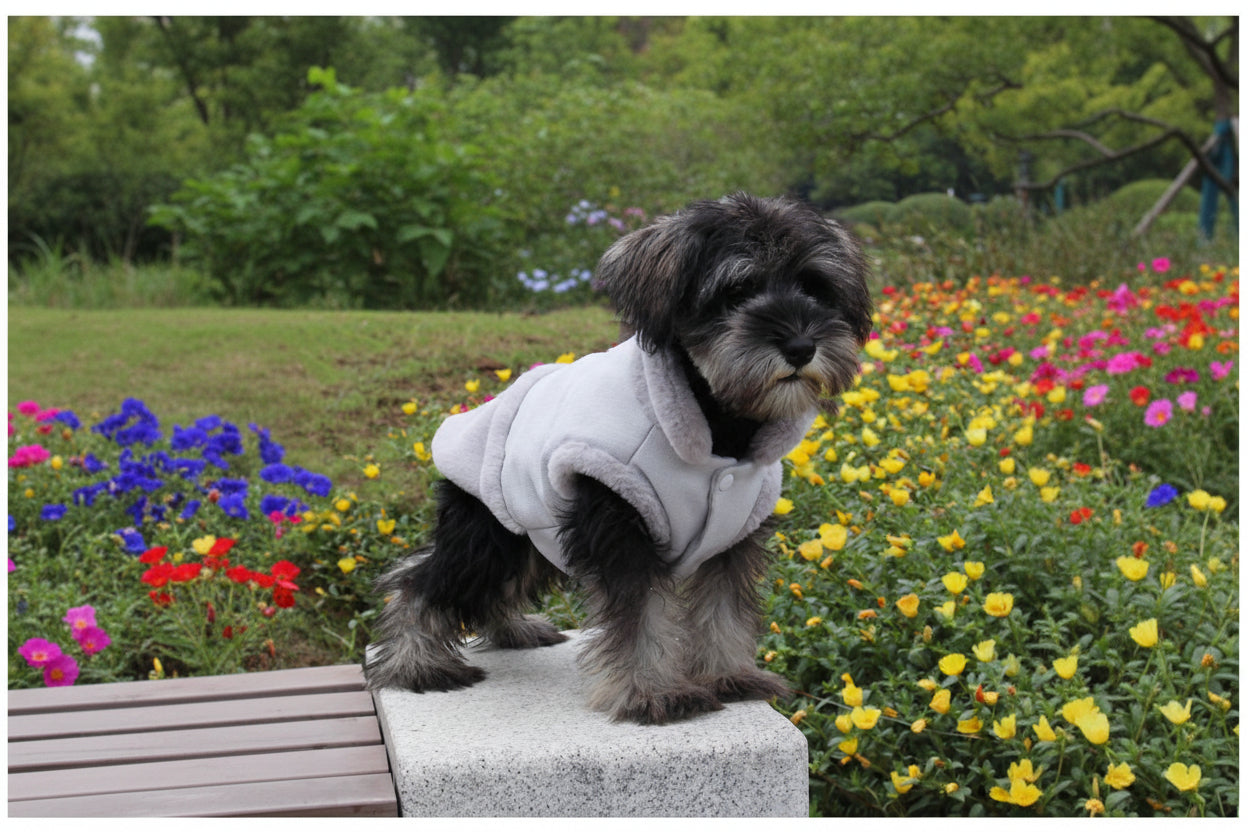 Winter Pet Coat – Warm & Comfortable for Cold Days