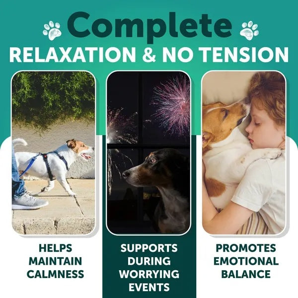 Hemp Calming Chews for Dogs – Natural Stress Support (120 Chews)