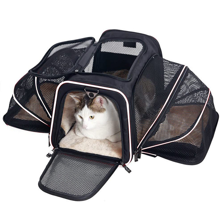 Rolling Pet Carrier with Wheels – Airline Approved