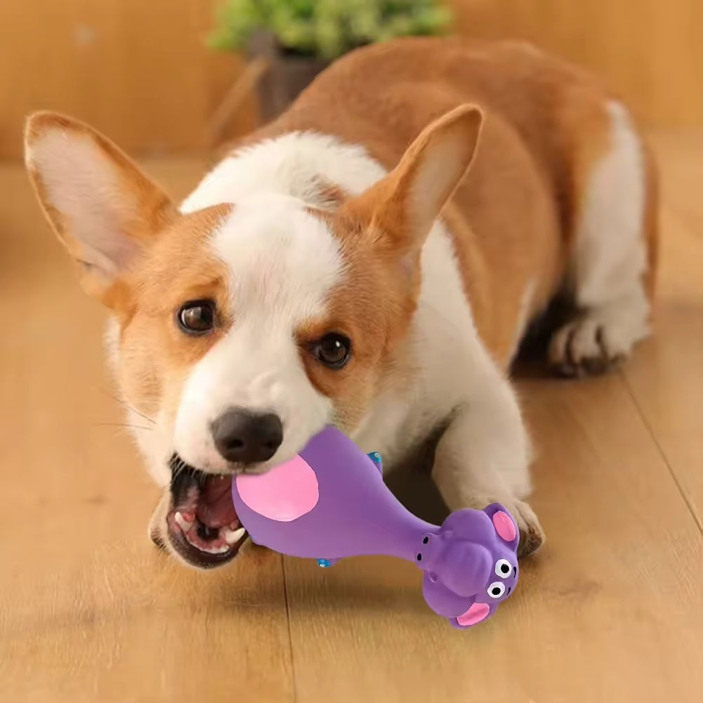 Cute Latex Dog Chew Toys – 4-Piece Set