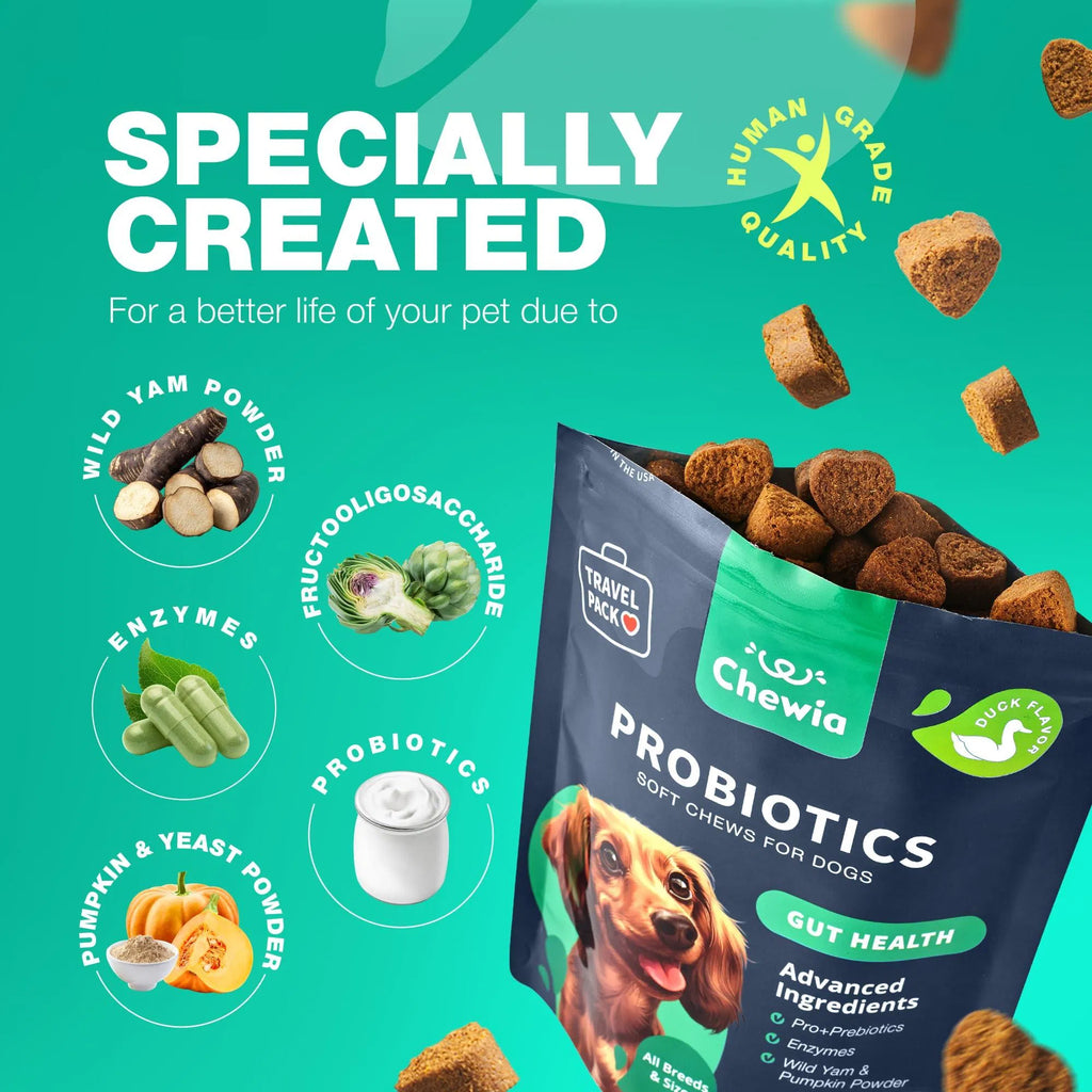 Probiotics for Dogs – Gut Health, Immunity & Digestive Support