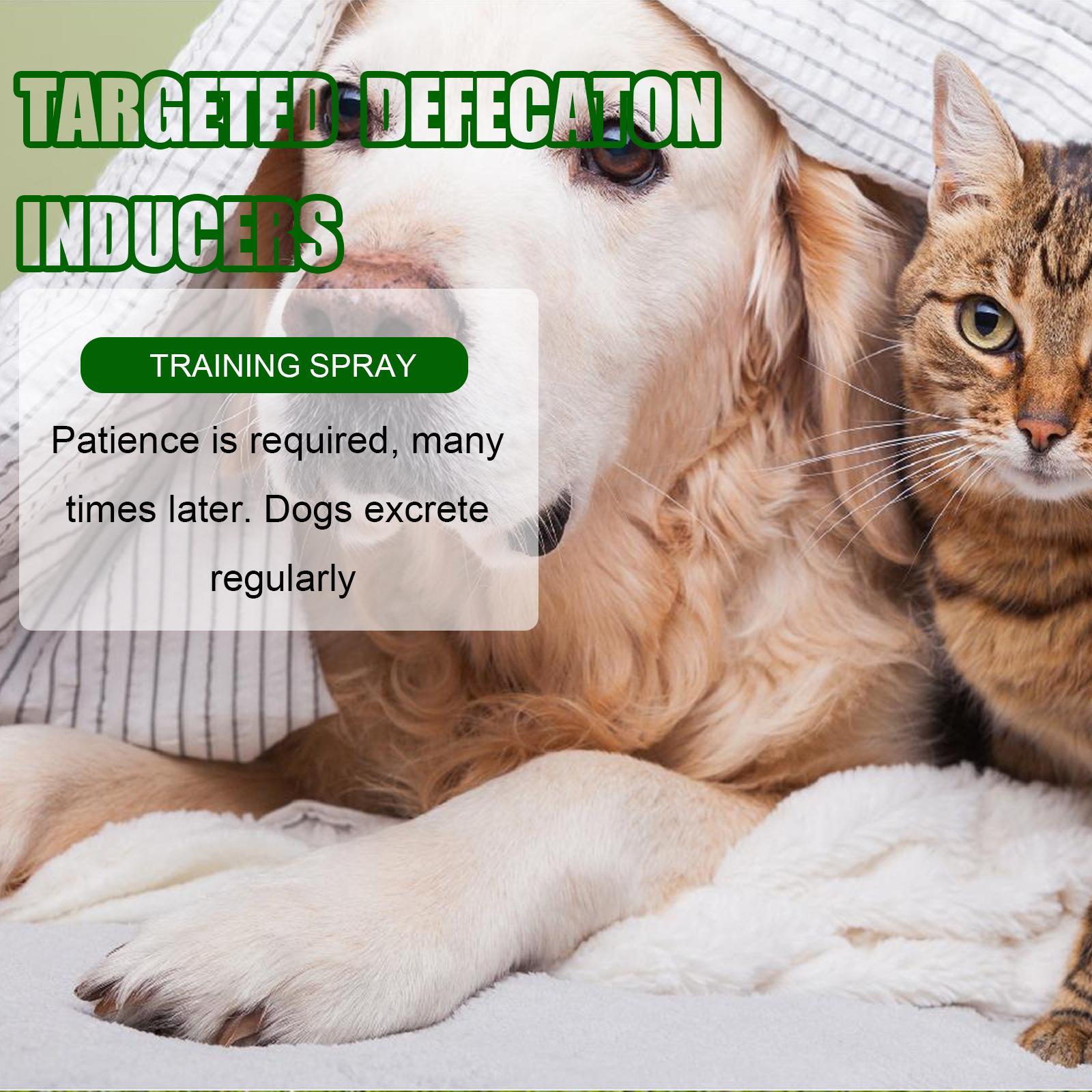 Pet Toilet Training Spray