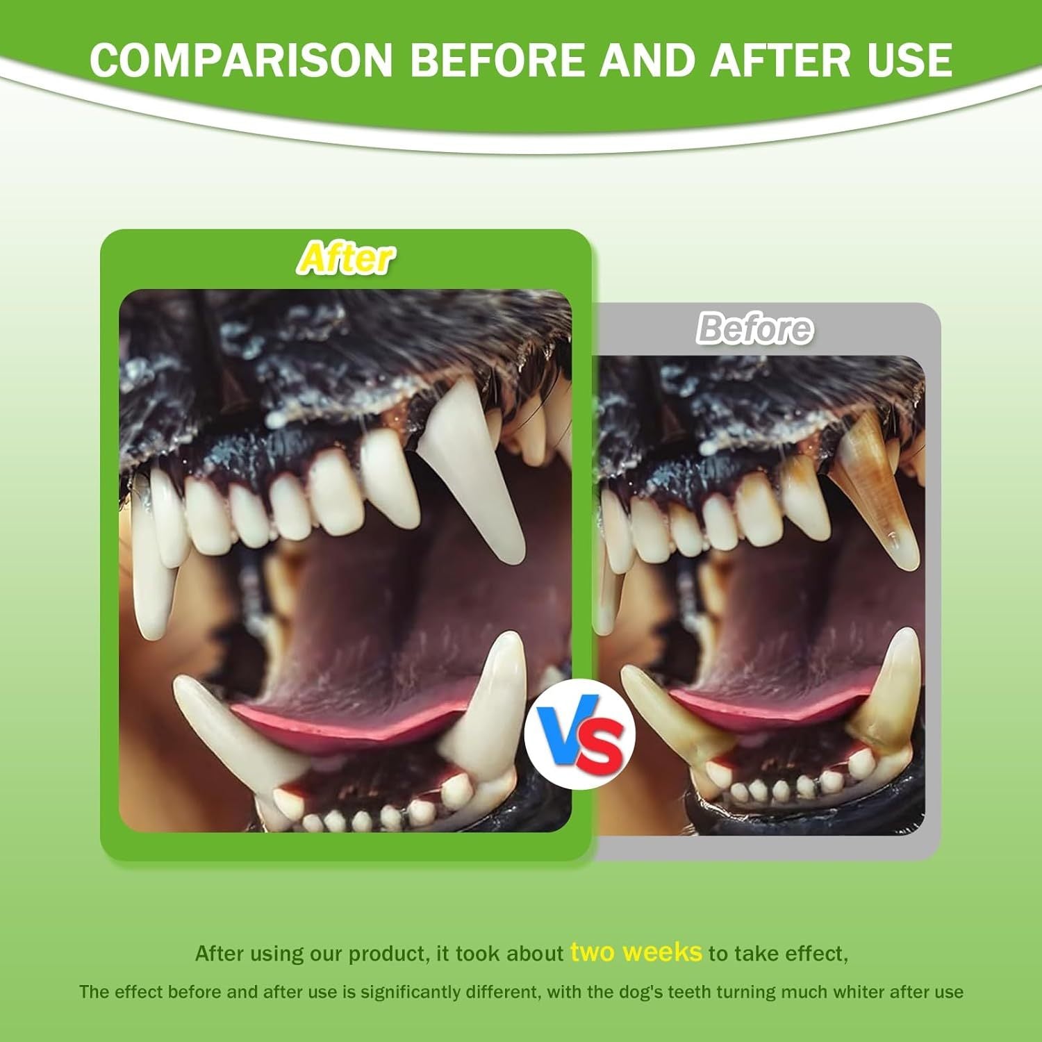 Pet Dental Powder