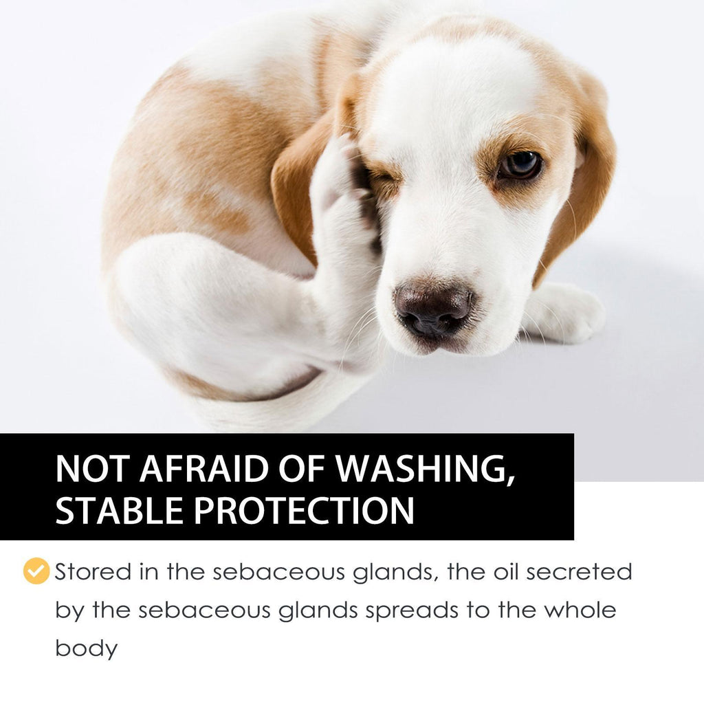 Igbang Pet External Deworming Drops