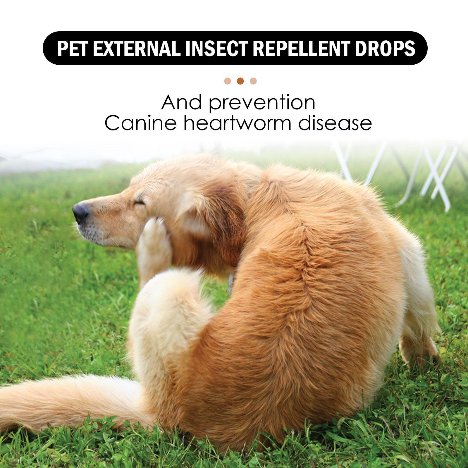 Igbang Pet External Deworming Drops