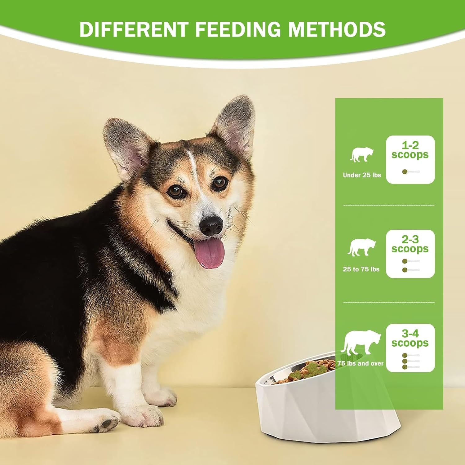 Pet Dental Powder
