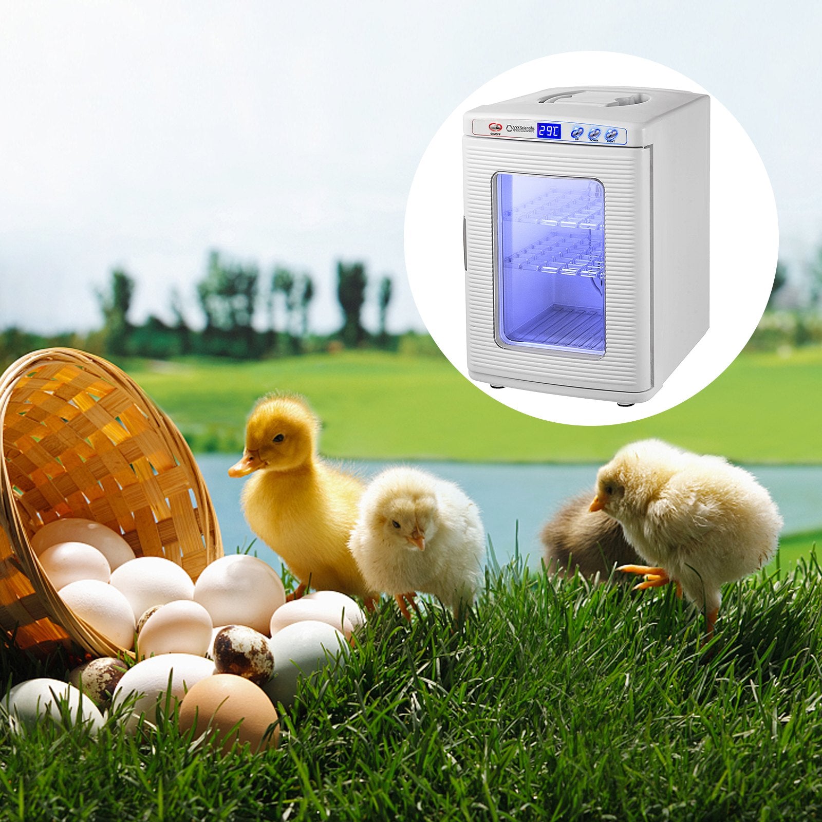 Digital Reptile Egg Incubator – Temperature Controlled (25L, White)