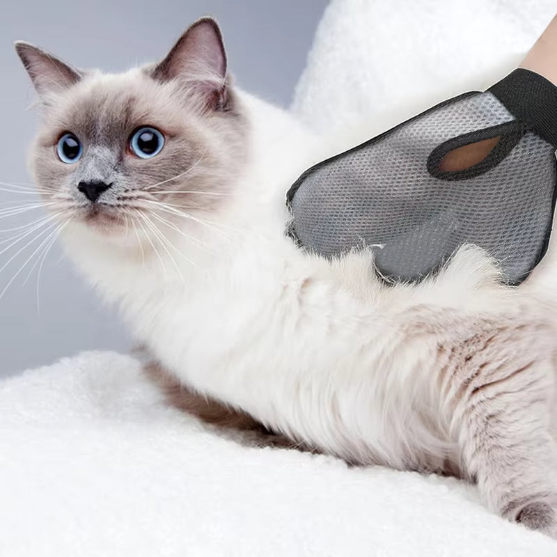 Cat Hair Removal & Massage Glove – Gentle Grooming, Effective Deshedding
