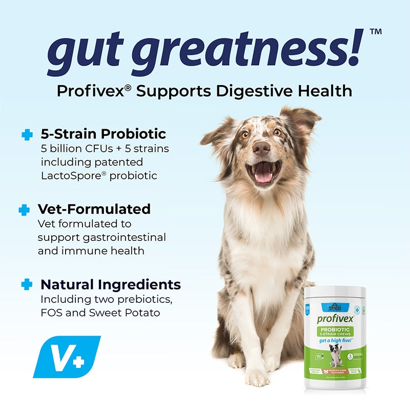 Probiotics Chews for Dogs – Digestive, Immune & Skin Support (180 Chews)