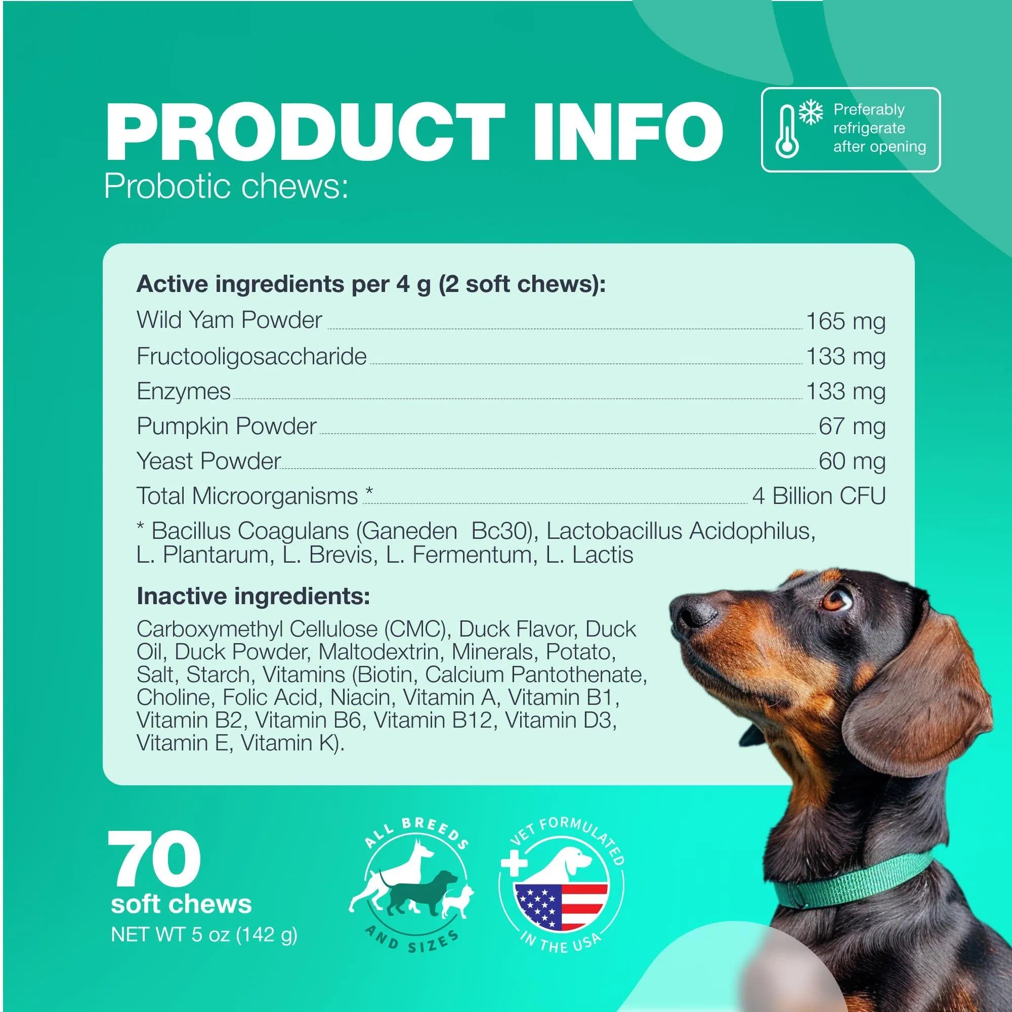 Probiotics for Dogs – Gut Health, Immunity & Digestive Support