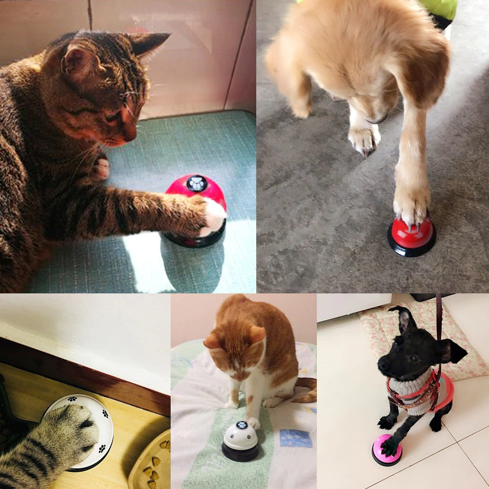 Training Bell