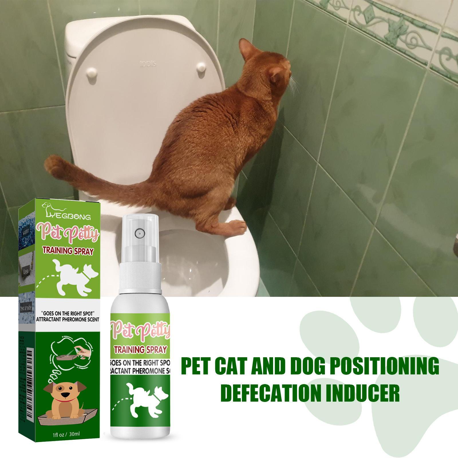 Pet Toilet Training Spray