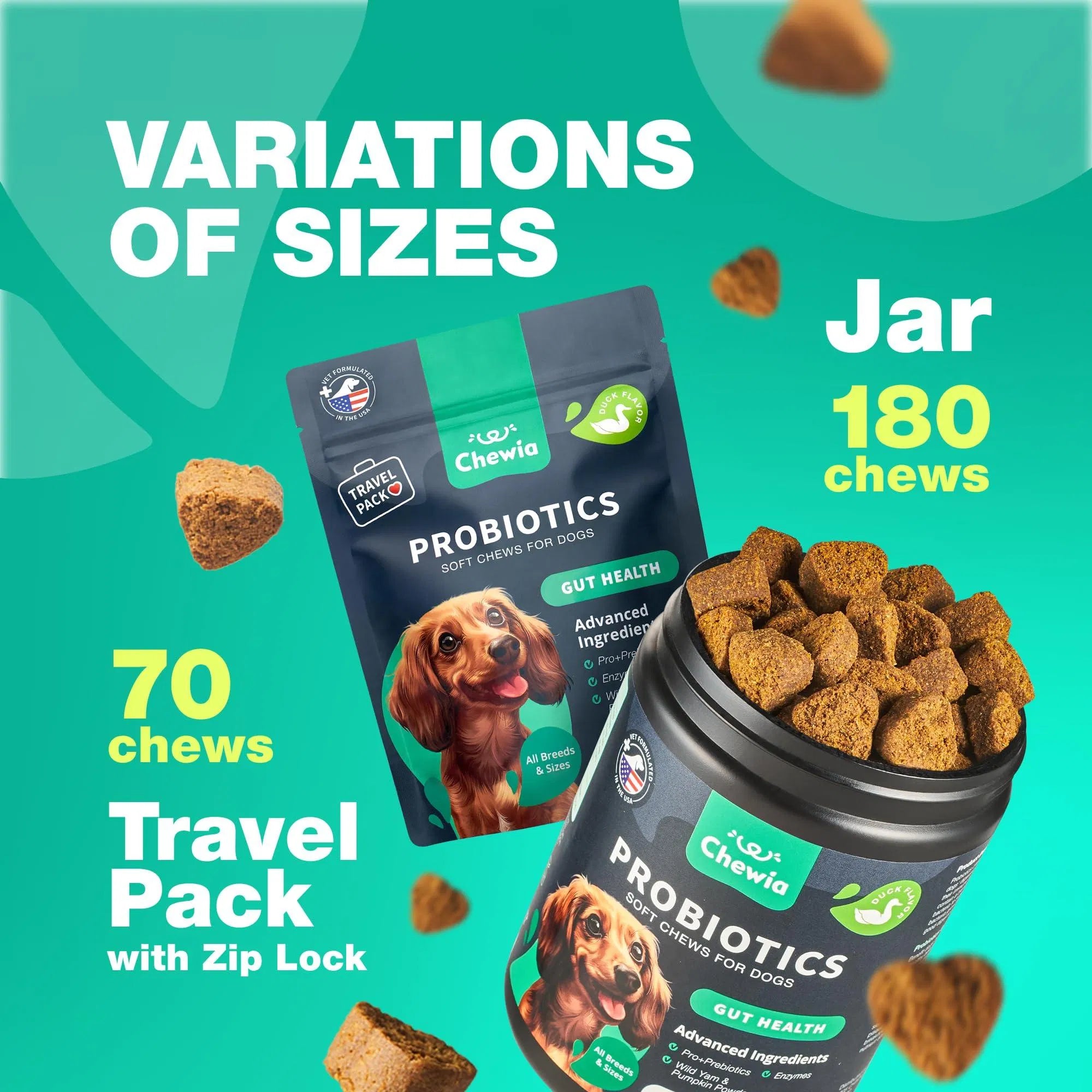 Probiotics for Dogs – Gut Health, Immunity & Digestive Support