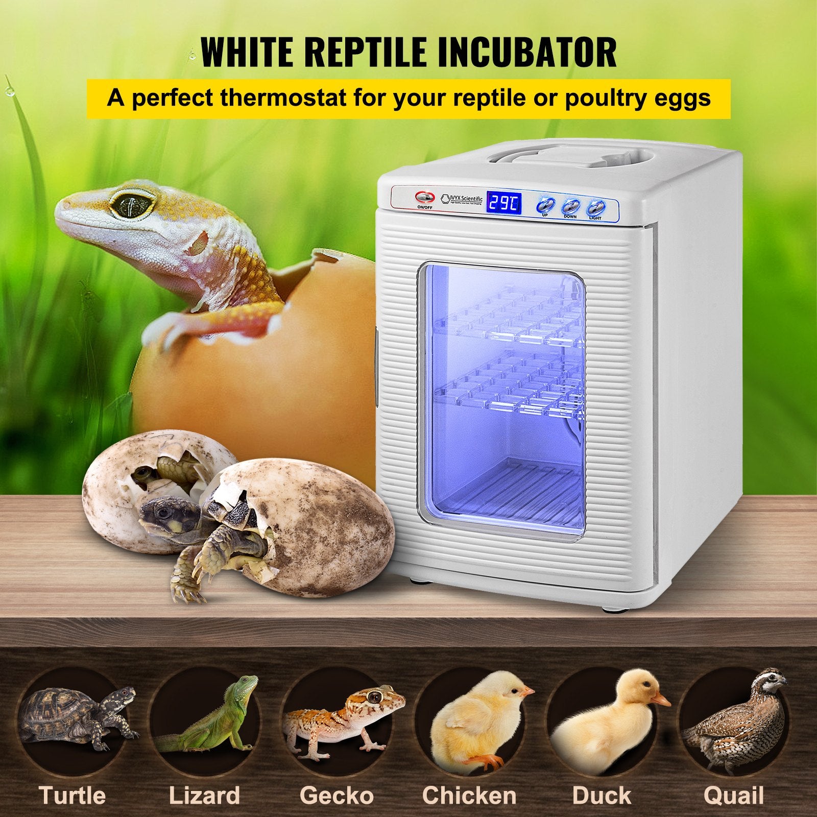 Digital Reptile Egg Incubator – Temperature Controlled (25L, White)