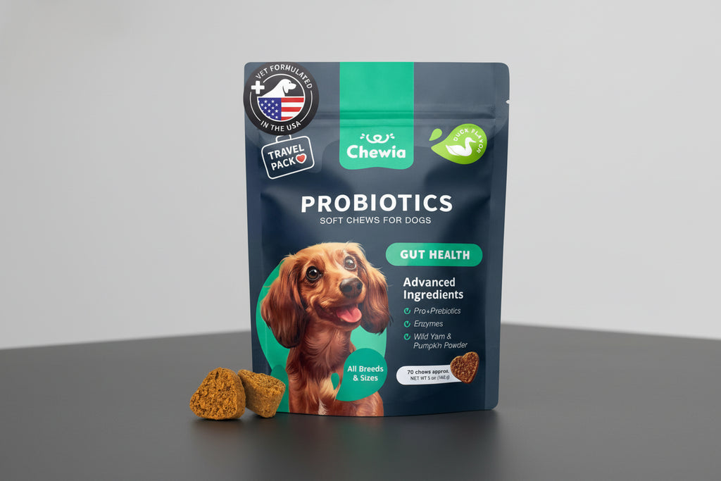Probiotics for Dogs – Gut Health, Immunity & Digestive Support