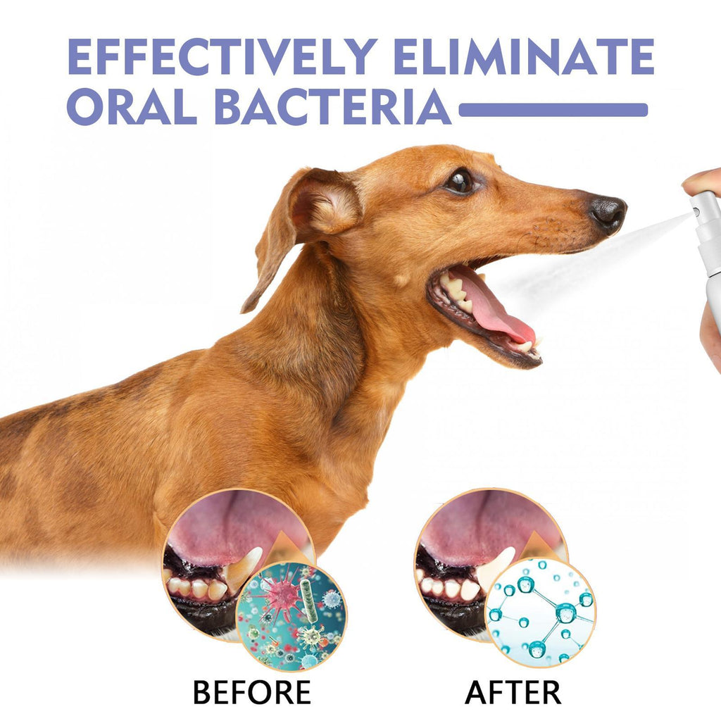 Yegebang Teeth Cleaning Spray for Cats & Dogs