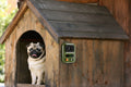 Ultrasonic Anti-Barking Device – Rechargeable & Automatic