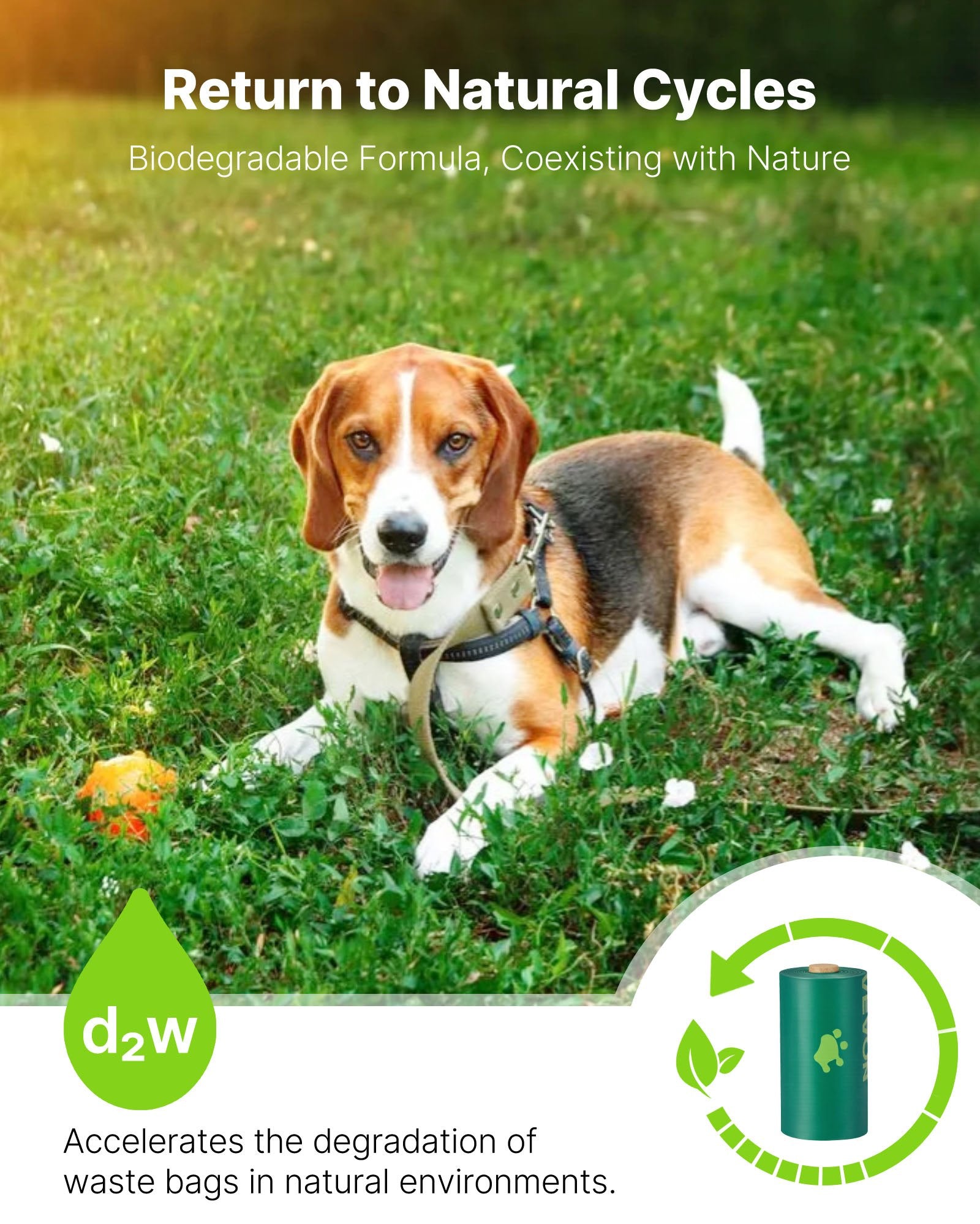 Dog Poop Bags – 270 Count, Strong, Leak-Proof & Eco-Conscious