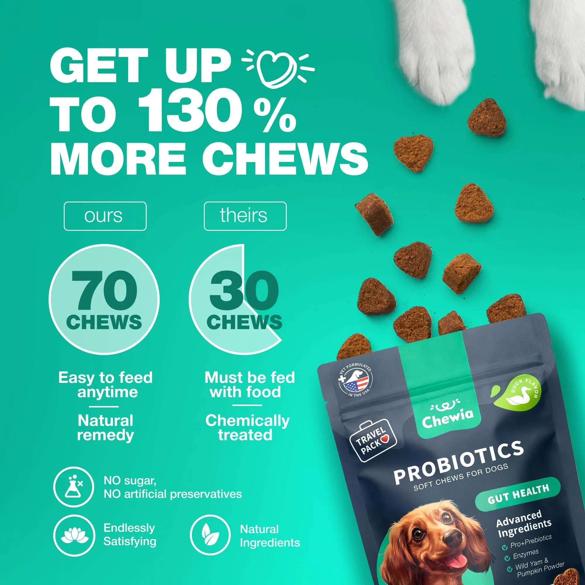 Probiotics for Dogs – Gut Health, Immunity & Digestive Support